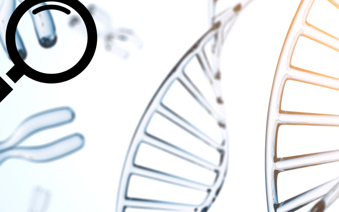 Illustration symbolique des recherches 2025 sur le syndrome d’Ehlers-Danlos, incluant génétique, biomarqueurs et soins naturels.