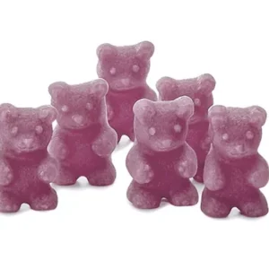 Oursons à infuser goût yaourt myrtille – sachet de 10 – infusion fruitée et lactée – Un Thé Pour Soi